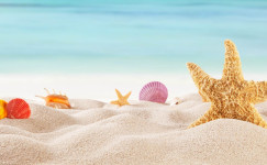 Summer Intensive Courses